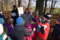 Projektwoche mit Pilzen für Kinder